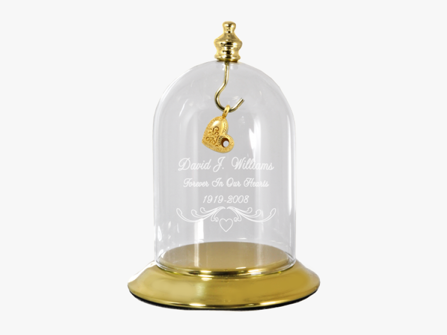 Kangaroo, Transparent Clipart