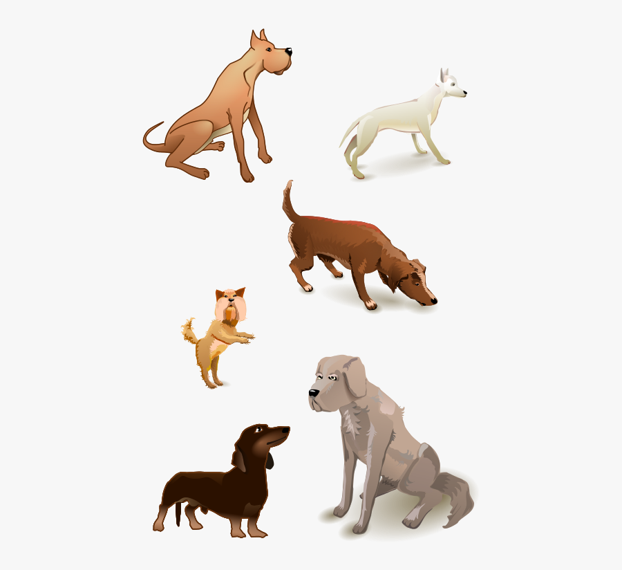 Dogs Pack - Dog, Transparent Clipart