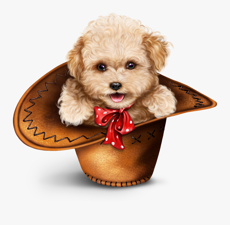 Shih-poo, Transparent Clipart