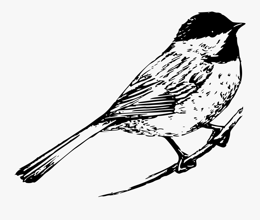 Transparent Land Before Time Clipart - Black And White Bird Drawing, Transparent Clipart