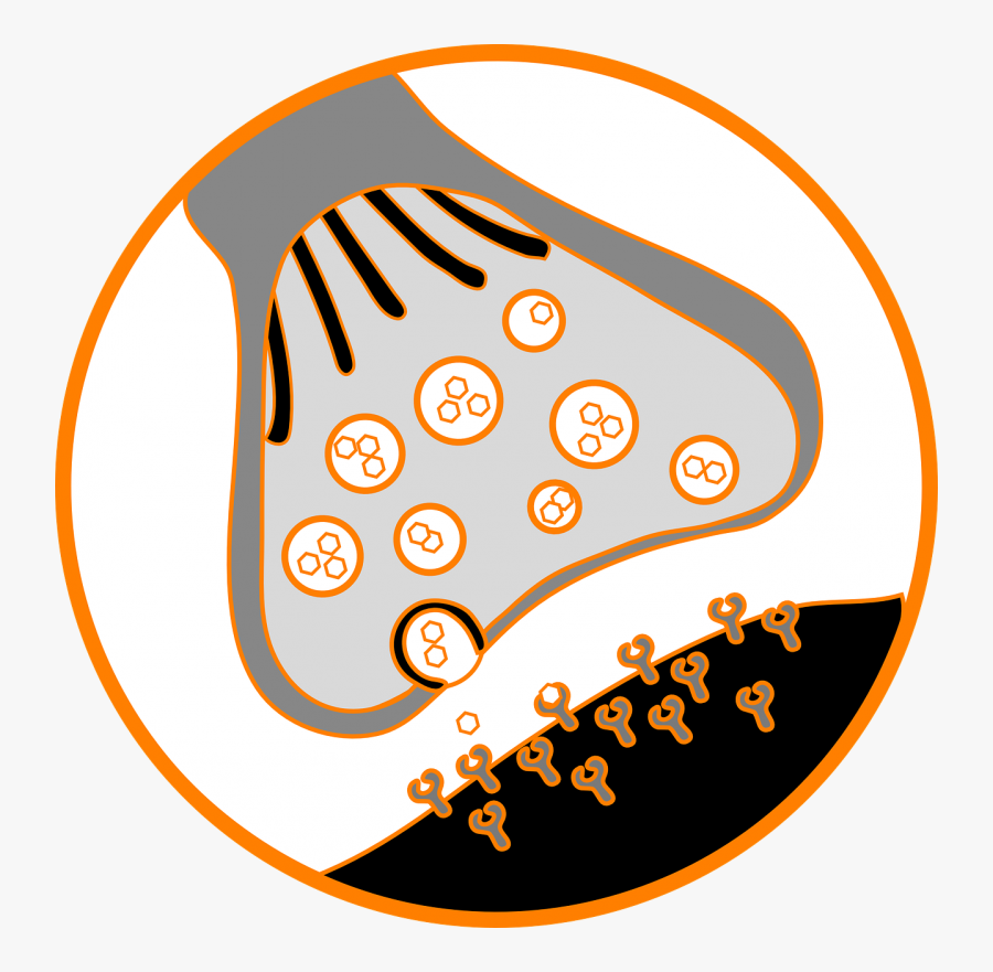 Synapse Clipart, Transparent Clipart