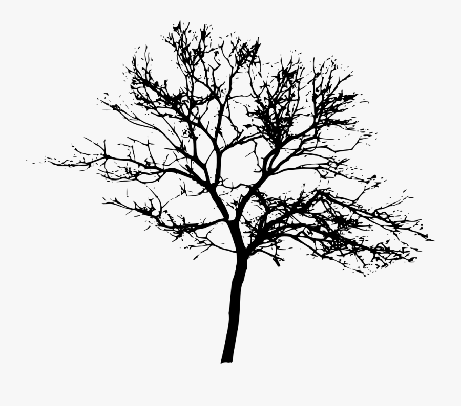 Palm Tree Drawing Png - Tree Silhouette No Background, Transparent Clipart