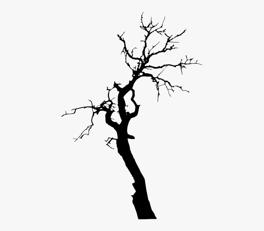 Dead Tree Silhouette Png - Tree Silhouette No Background, Transparent Clipart