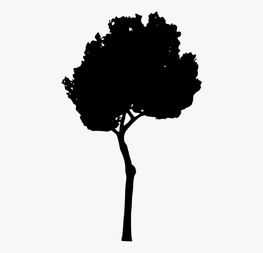 Tree Silhouette Png - Silhouette, Transparent Clipart
