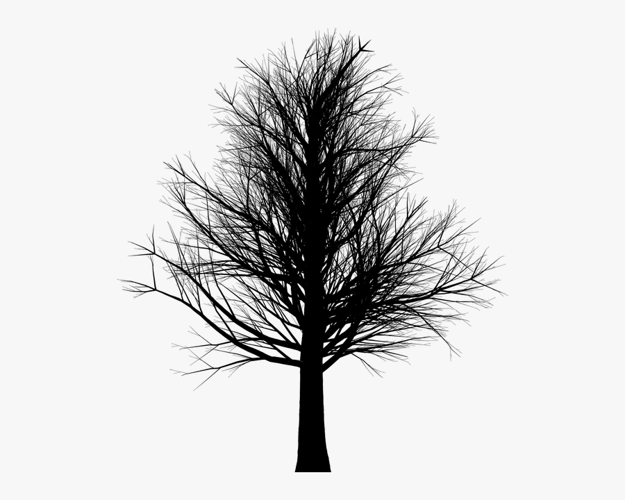 Tree, Branches, Leafless, Bare, Black, Dead, Silhouette - Arboles De Terror Png, Transparent Clipart