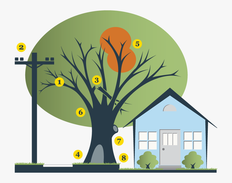 Recognizing Risks - Illustration, Transparent Clipart