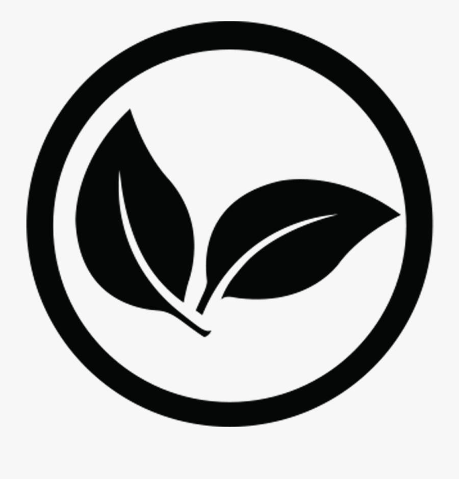 Hair Styling Tools Clip Art, Transparent Clipart