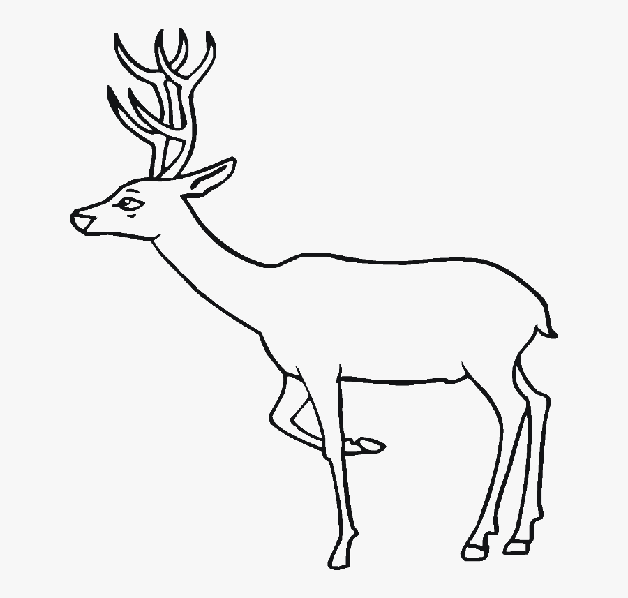 A Deer Being Relax Coloring For Kids - Elk, Transparent Clipart