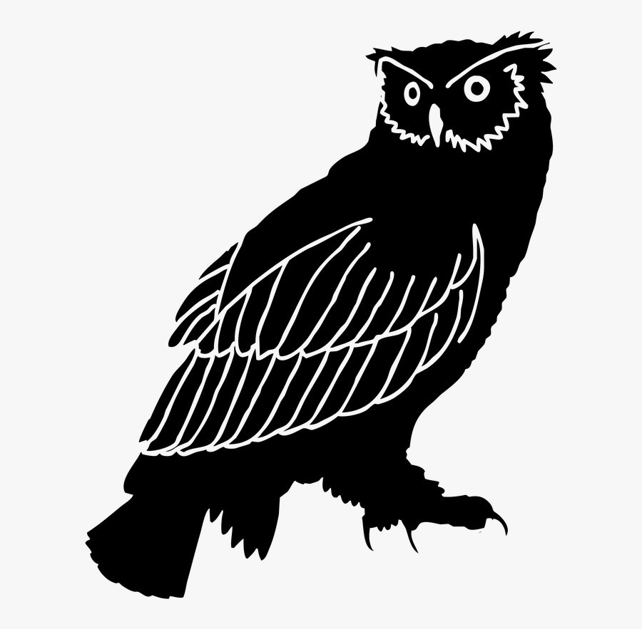Owl Silhouette Bird Black And White Clip Art - Owl Black And White, Transparent Clipart