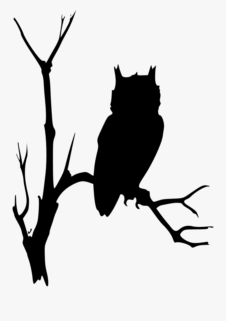Owl Branches Tree Free Picture - Owl In Tree Vector, Transparent Clipart
