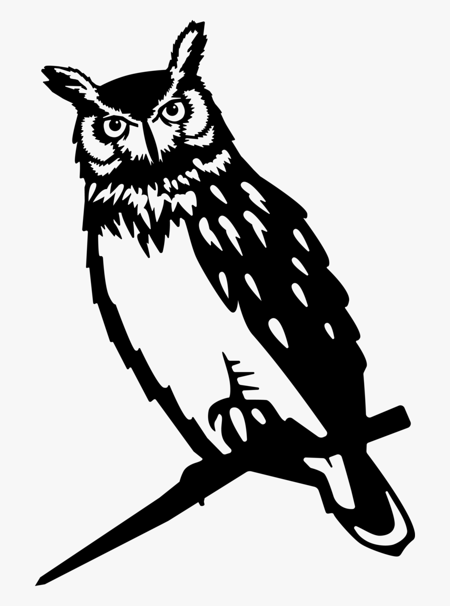 Great Horned Owl - Eastern Screech Owl, Transparent Clipart
