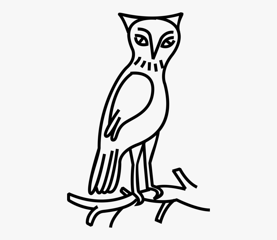 Owl Bird Sits On Tree Branch - Eastern Screech Owl, Transparent Clipart