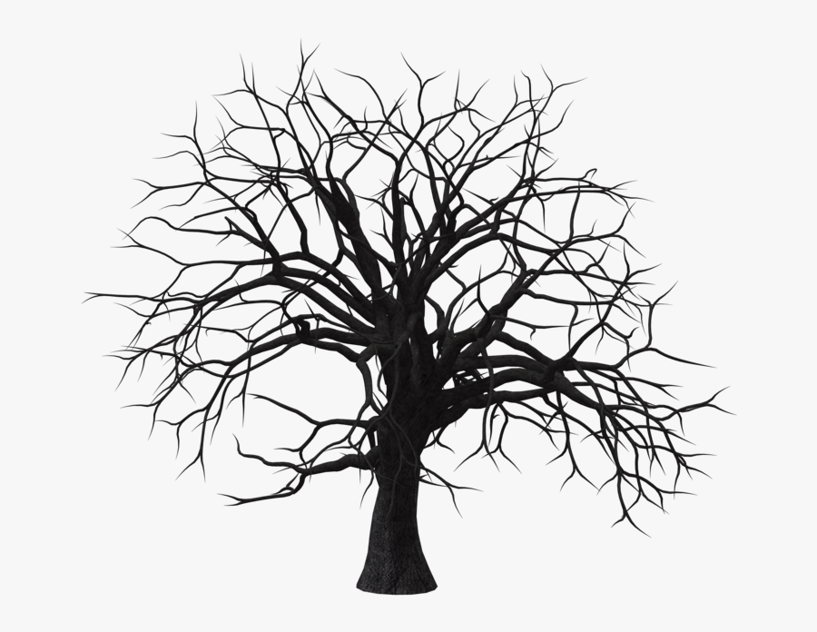 White Tree Png Page - Dry Tree Png Hd, Transparent Clipart