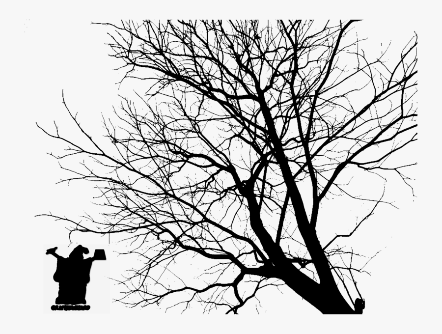 Tree Silhouette Official Psds - Trees Silhouette Psd Psd, Transparent Clipart