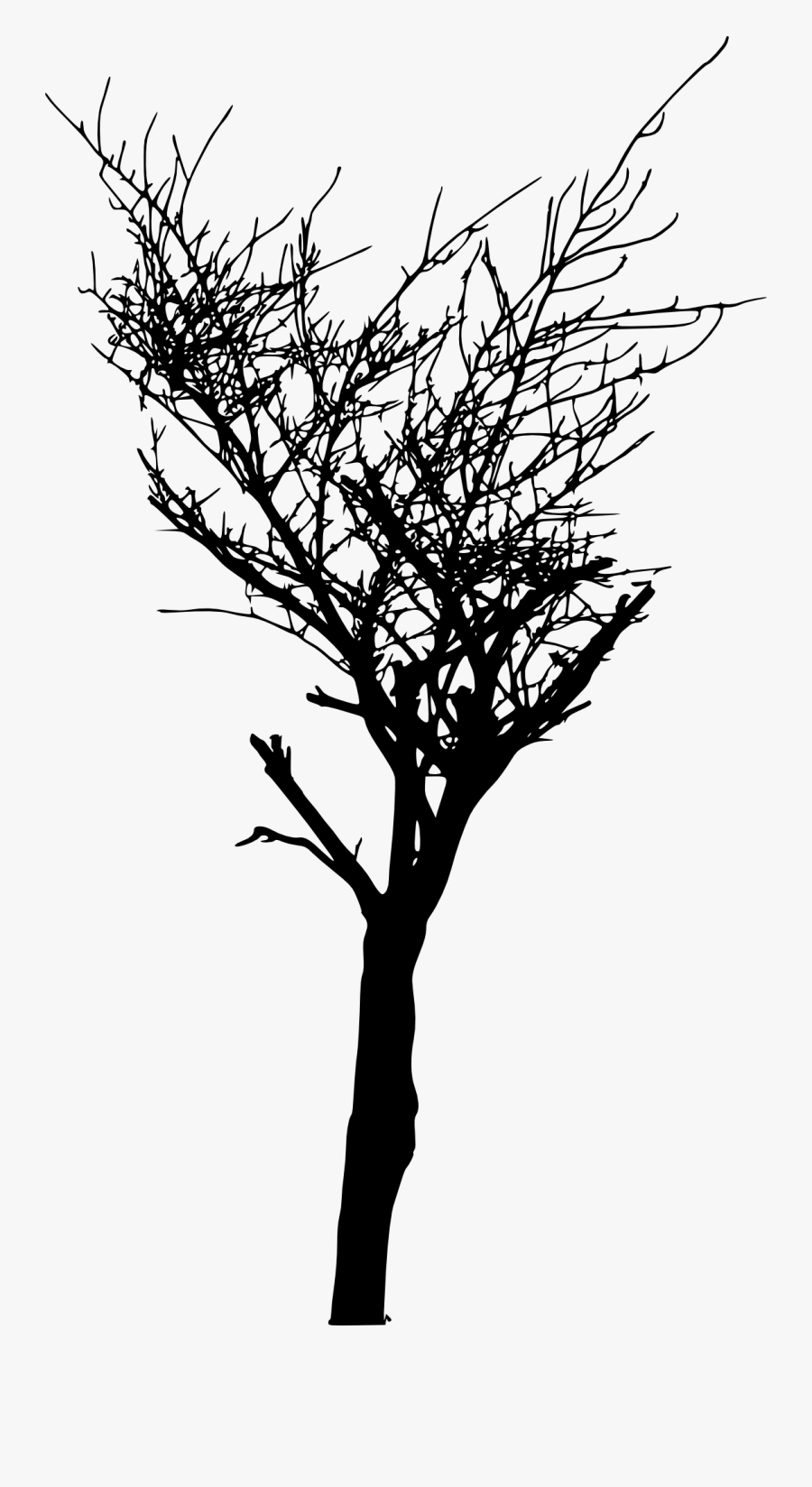 Portable Network Graphics, Transparent Clipart