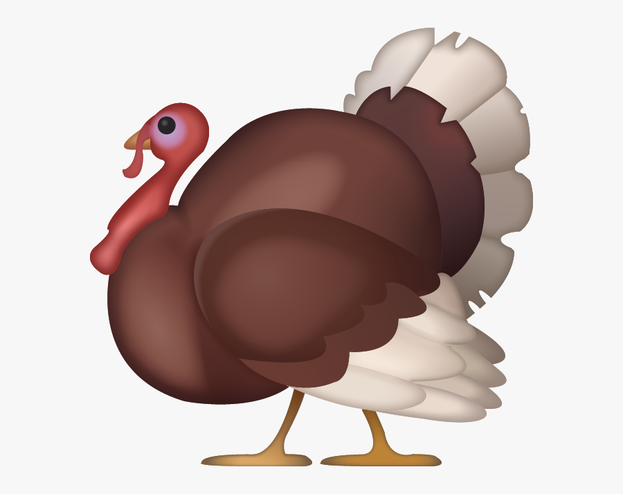 Thanksgiving half marathon dayton