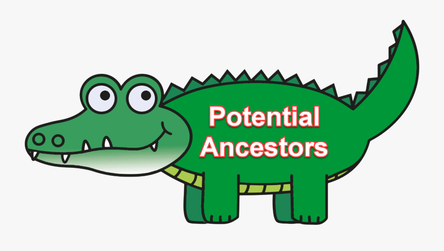 Gator - Clipart Alligator, Transparent Clipart