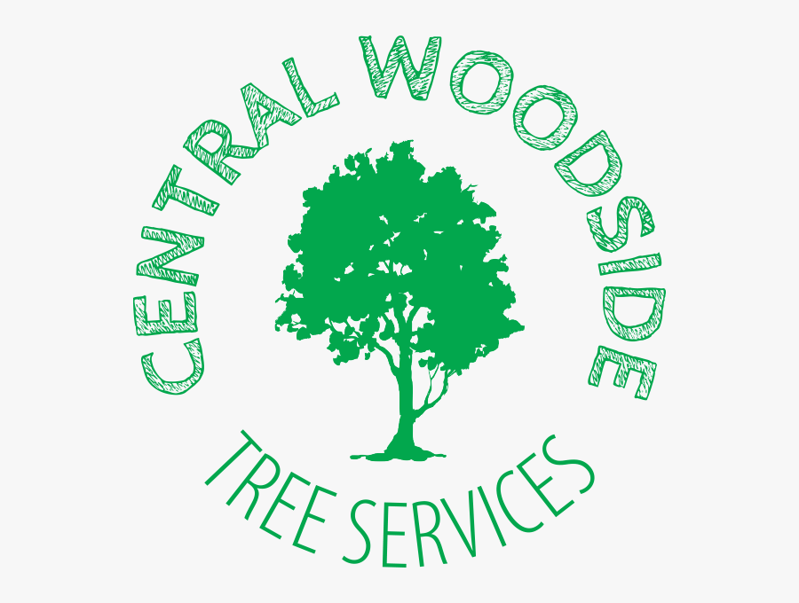 Company Logo - Tree, Transparent Clipart