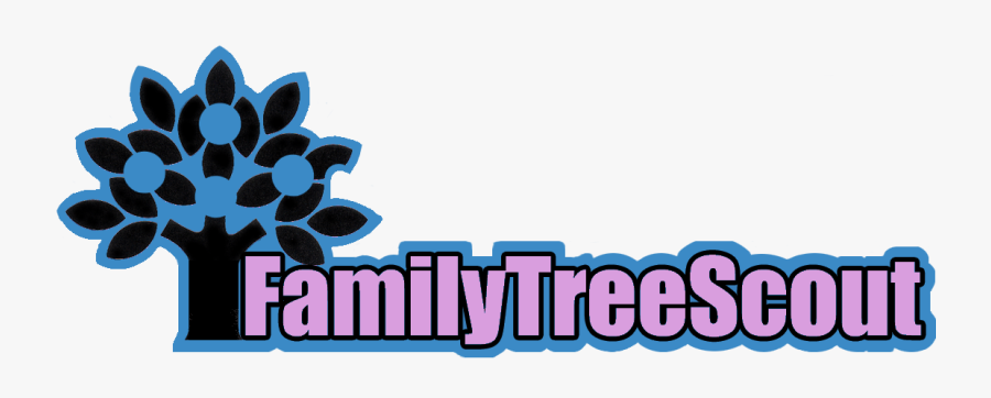 Graphic Design, Transparent Clipart