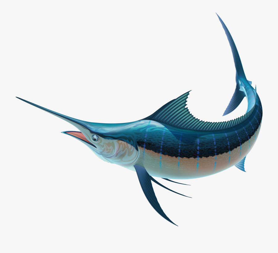 Swordfish Png Clipart - Blue Marlin Transparent Background, Transparent Clipart