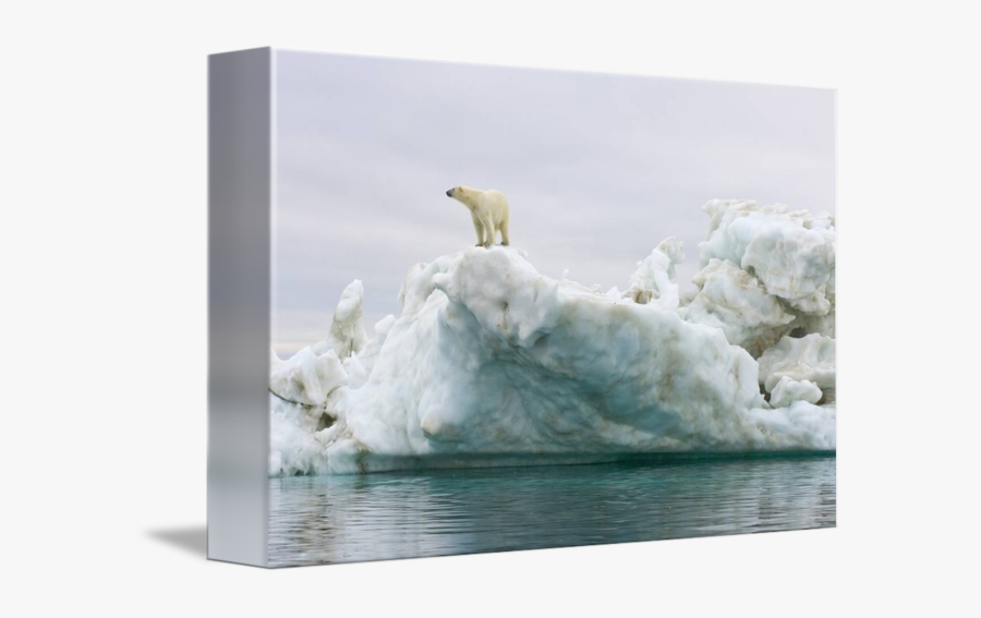 Polar Bear On Iceberg, Transparent Clipart