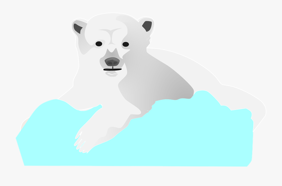 Urso Branco Desenho Png, Transparent Clipart