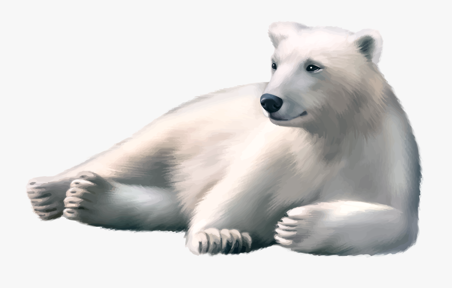Polar Bear Fierce Clipart - Realistic Vector Animals, Transparent Clipart