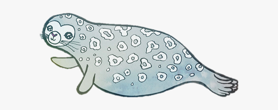 Grey Whale, Transparent Clipart