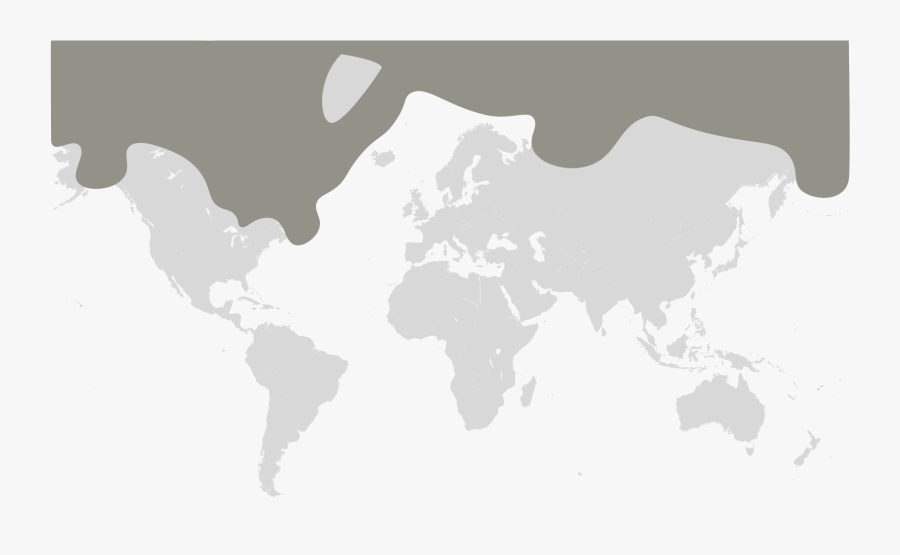 Polar Bear Map - Usa In The World, Transparent Clipart
