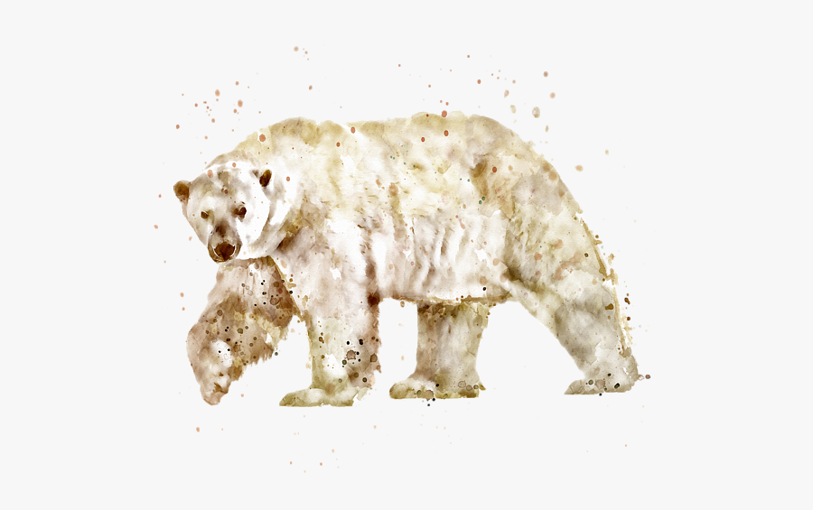 Clip Art Polar Bear Watercolor - Polar Bear Watercolor Png, Transparent Clipart