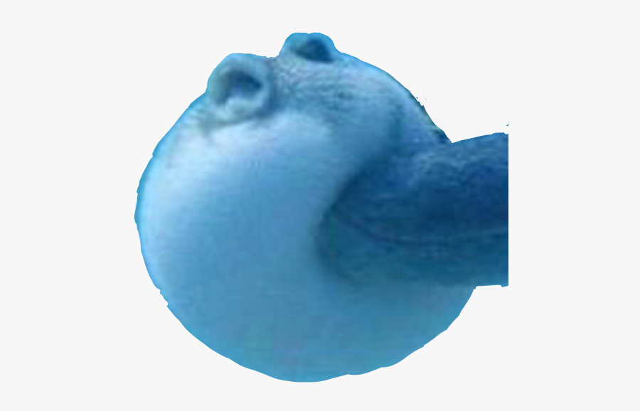 Boop - Marine Biology, Transparent Clipart