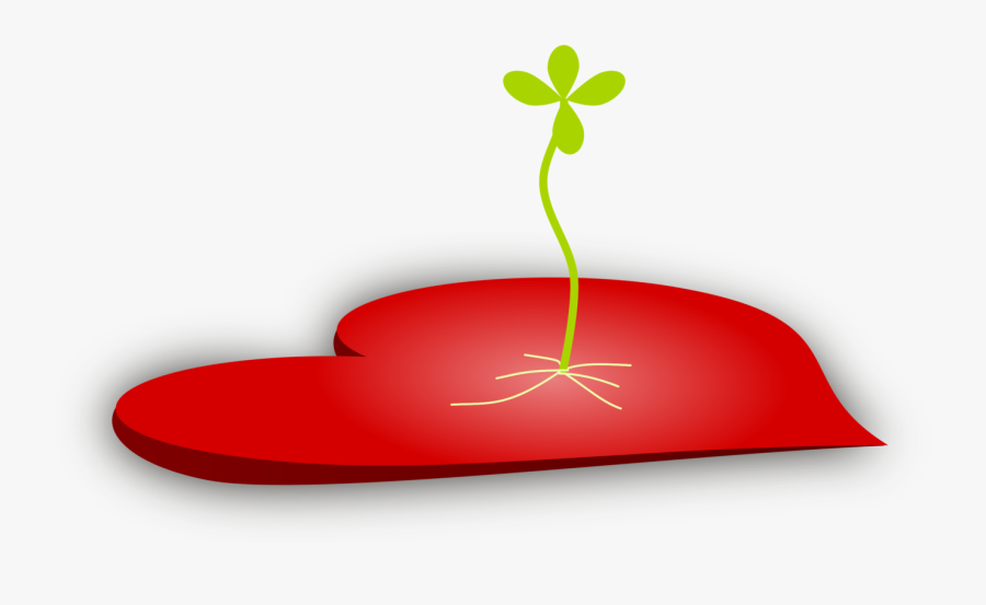 Plant,leaf,tree - Semente No Coração, Transparent Clipart