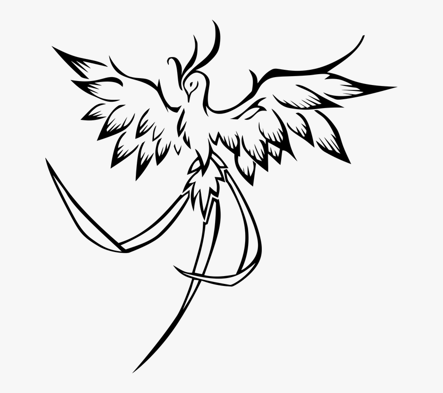 Drawing Easy Phoenix Bird , Free Transparent Clipart - ClipartKey