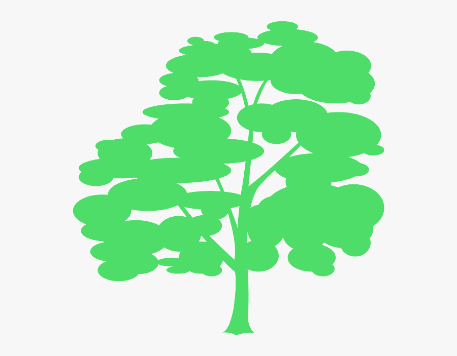 Jak Narysować Drzewo Klonu, Transparent Clipart