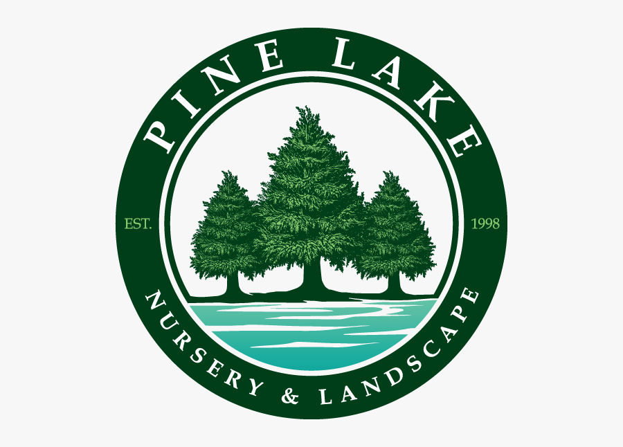 Pine Lake Nursery & Landscape, Inc - Colorado Spruce, Transparent Clipart