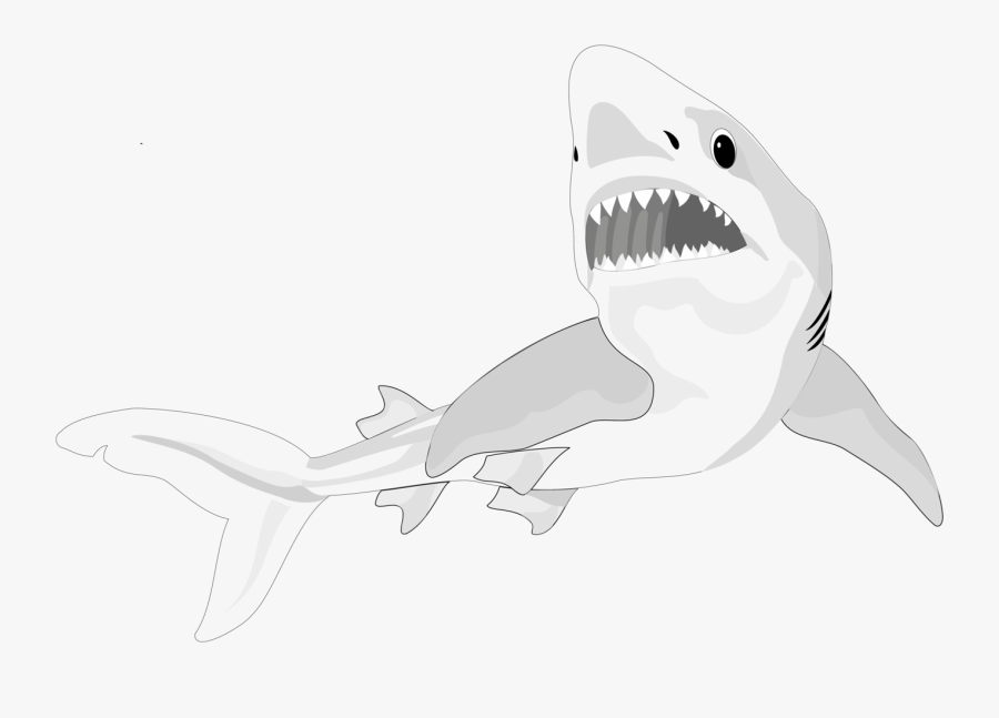 Fish Shark Clipart Nine - Pesci Cartilaginei, Transparent Clipart