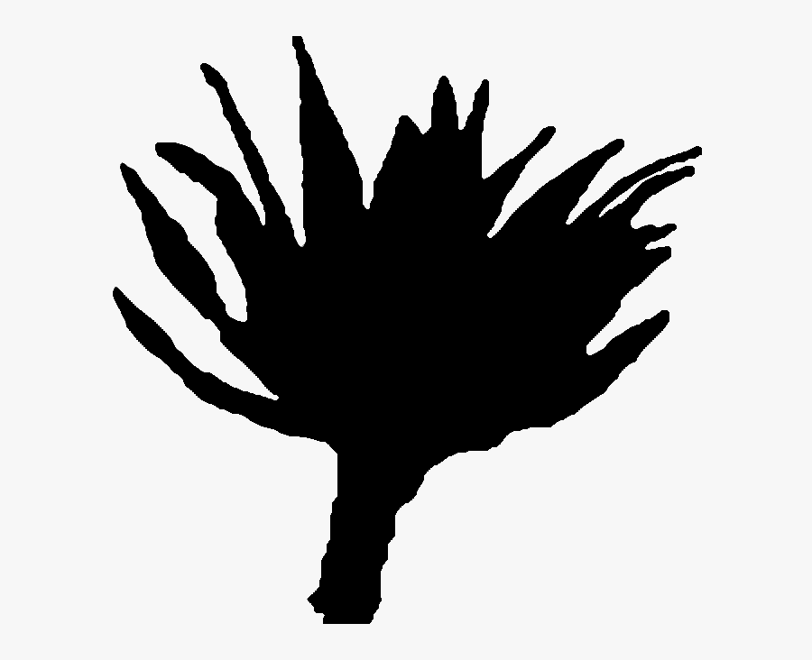 Silhouette, Transparent Clipart