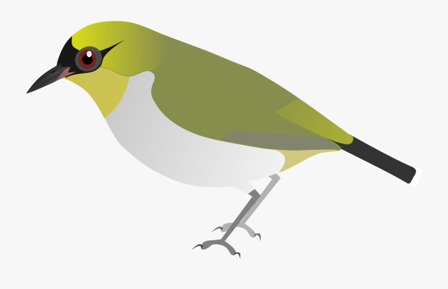 Vector Chim Vanh Khuyen - Nightingale, Transparent Clipart