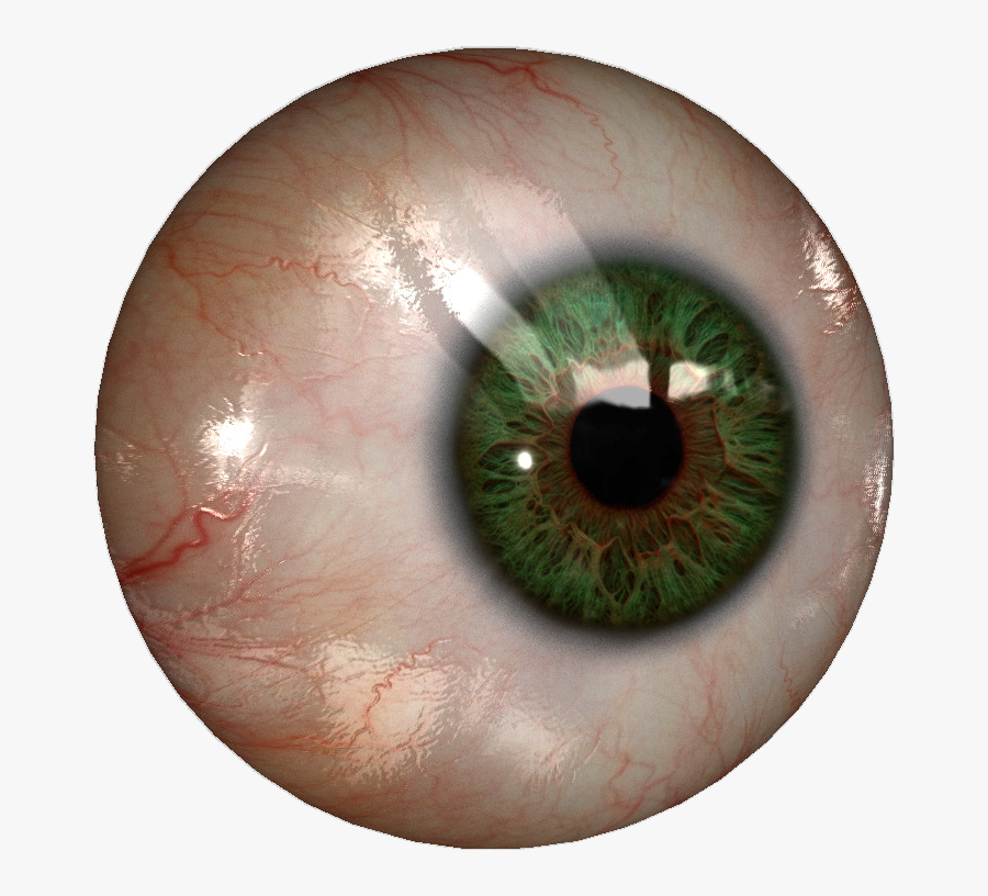 Real Eye Png File - Transparent Human Eye Png, Transparent Clipart