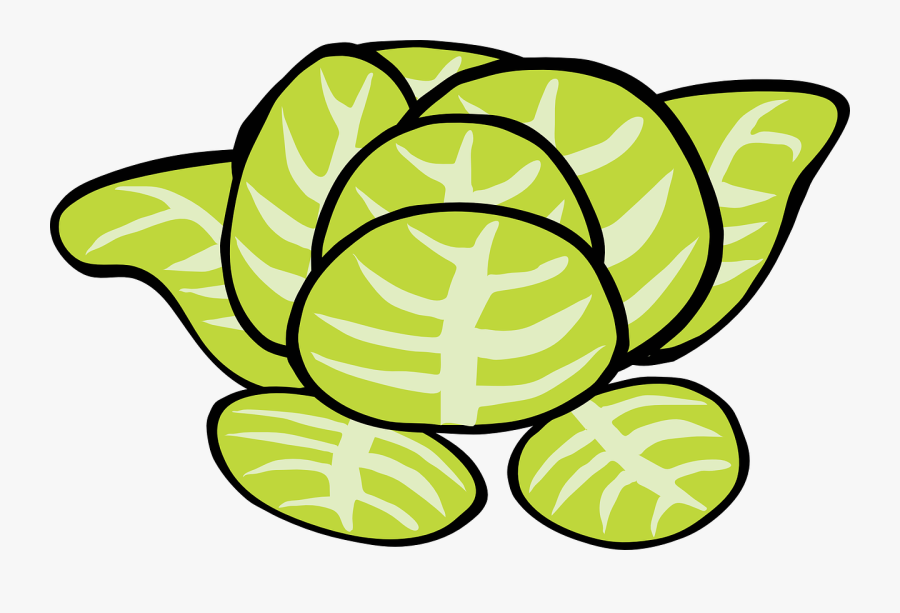 Lettuce Vegetable Food Free Picture - Lettuce Clip Art, Transparent Clipart