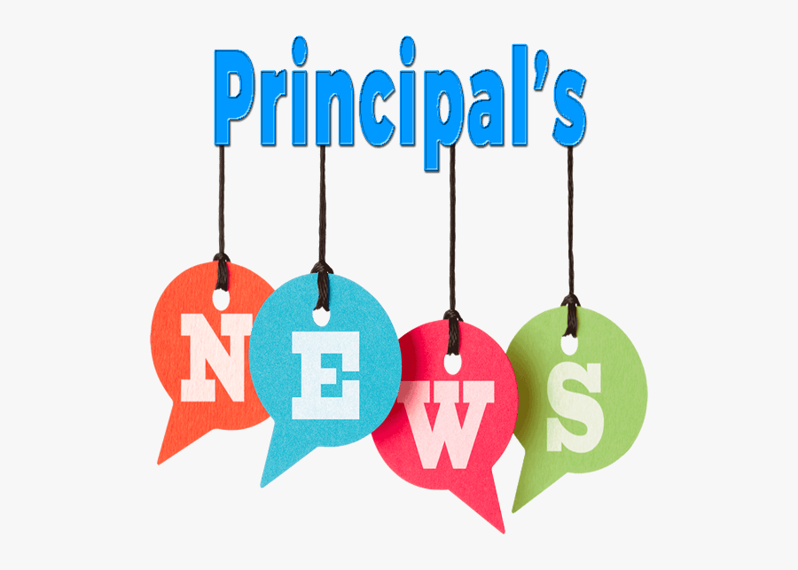 Icon Principal"s News In The Newsletter - Graphic Design, Transparent Clipart