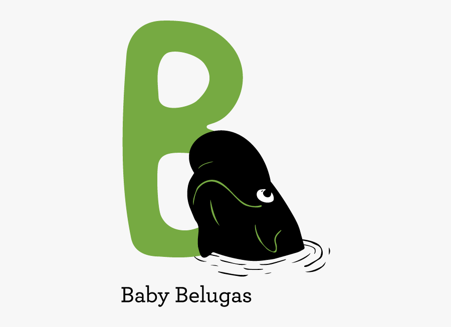 Beluga Level, Transparent Clipart