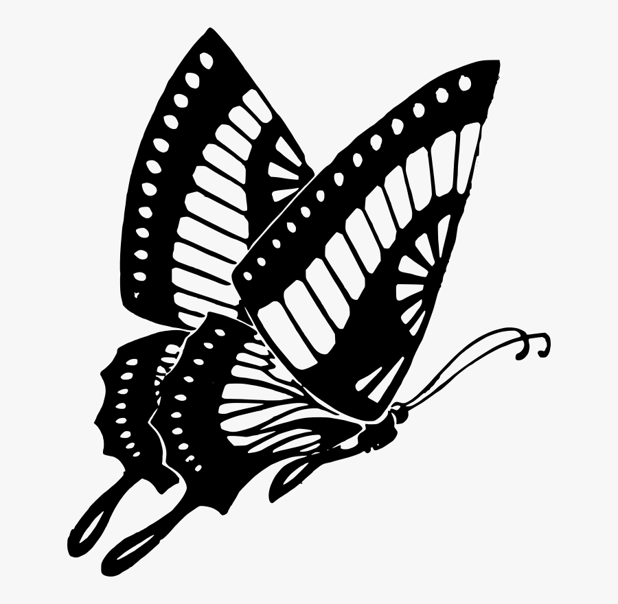 Flying Butterfly Black And White, Transparent Clipart
