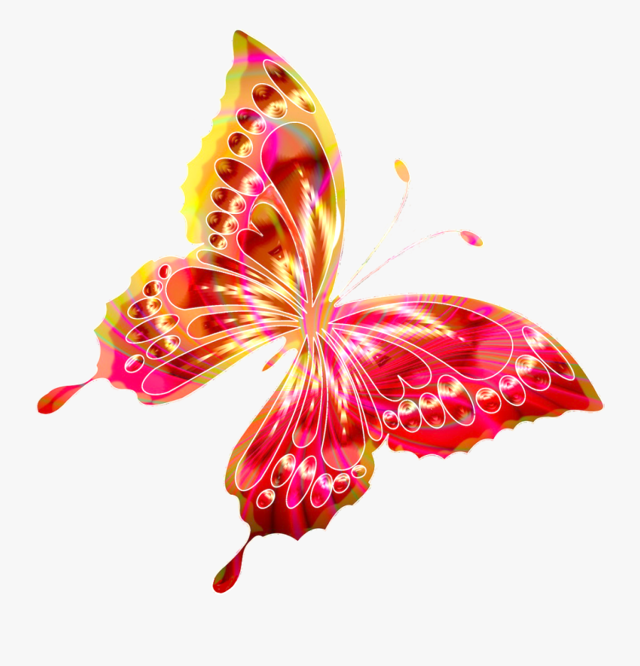 Butterfly Clipart Bright - Butterfly, Transparent Clipart