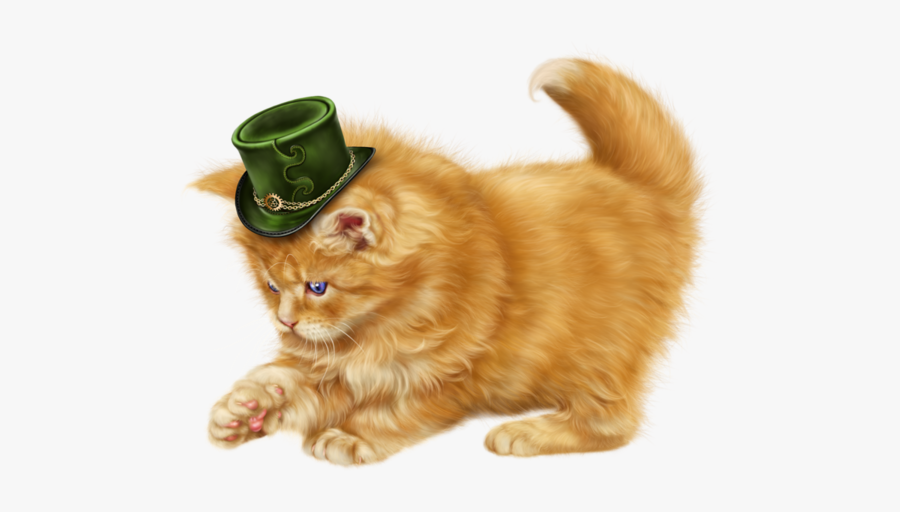 Persian Cats Png, Transparent Clipart
