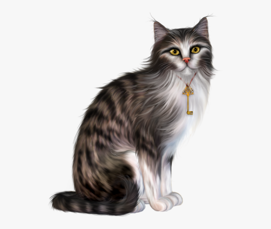 Clip Art Cat Kitten Picture Frame - Cat In Fancy Witch Hat 1, Transparent Clipart