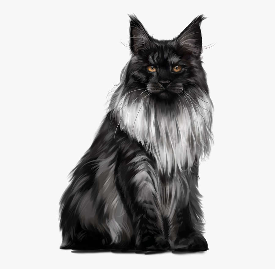Cat, Transparent Clipart