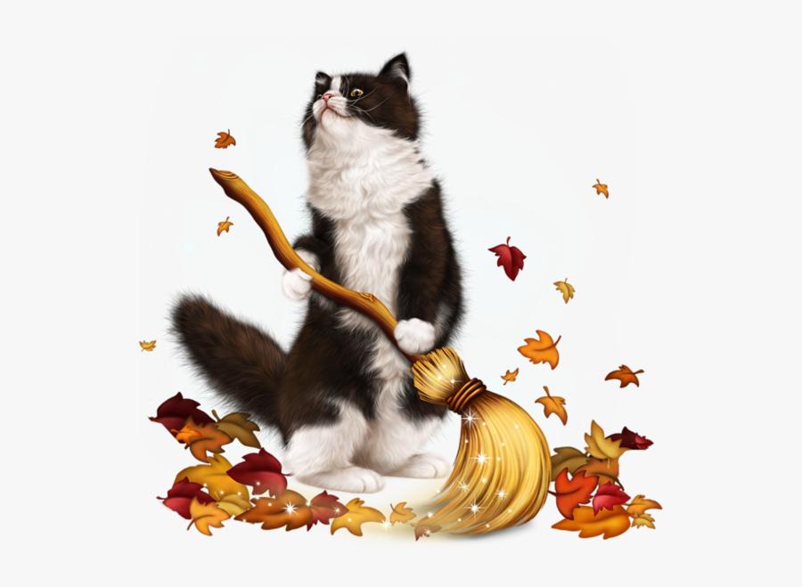 Transparent Gato Clipart - Cat, Transparent Clipart