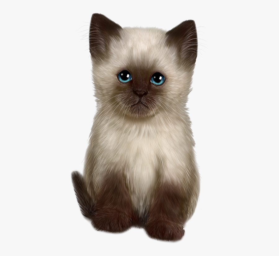 Siamese, Transparent Clipart