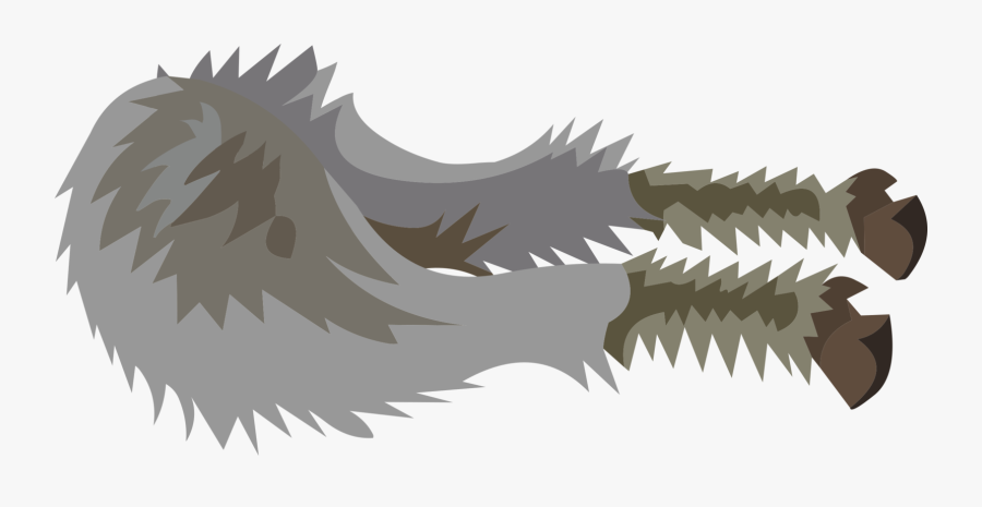 Carnivoran,bird,bird Of Prey - Illustration, Transparent Clipart